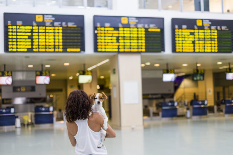 25 Pet Travel Safety Tips - Pet Air Travel Regulations