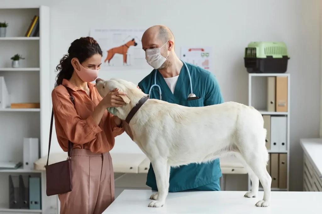 Smiling Woman Petting Dog at Vet Clinic