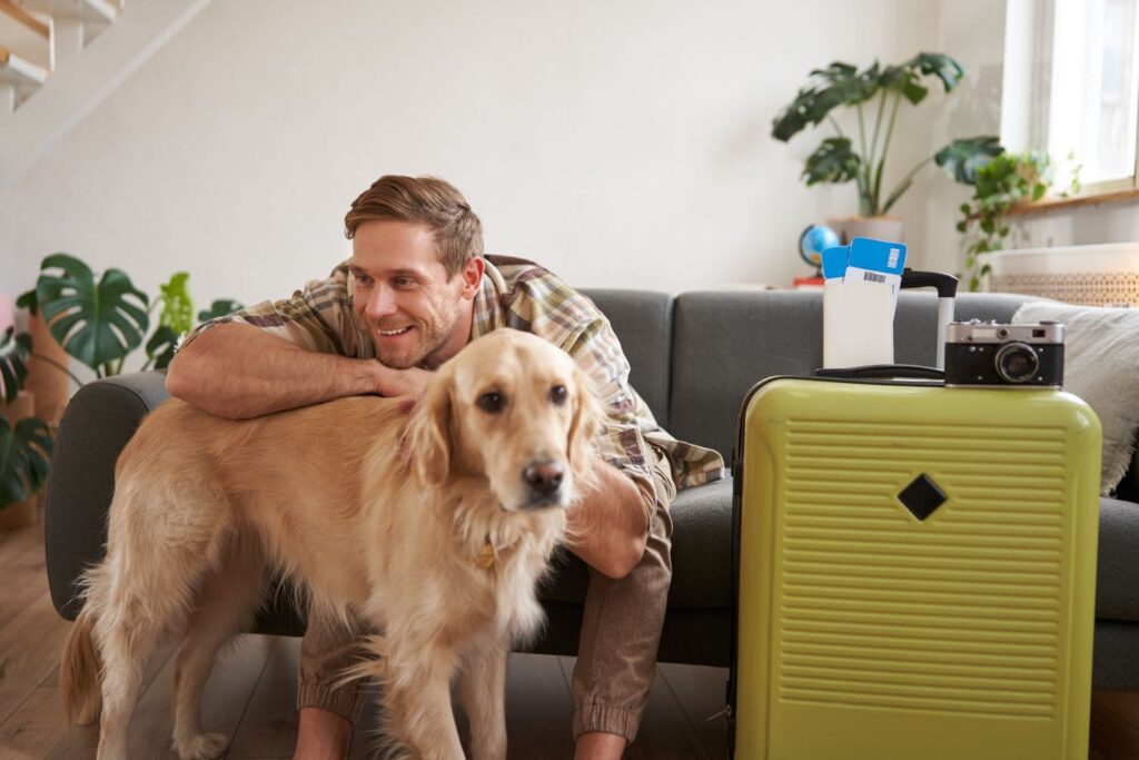 pet travel USA